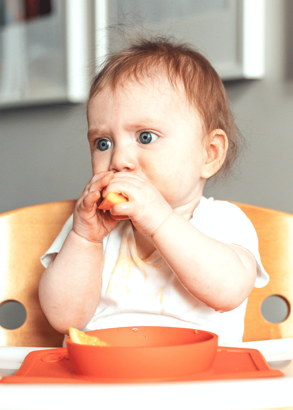 BEST Booster Seat for Table Dinnertime Independence